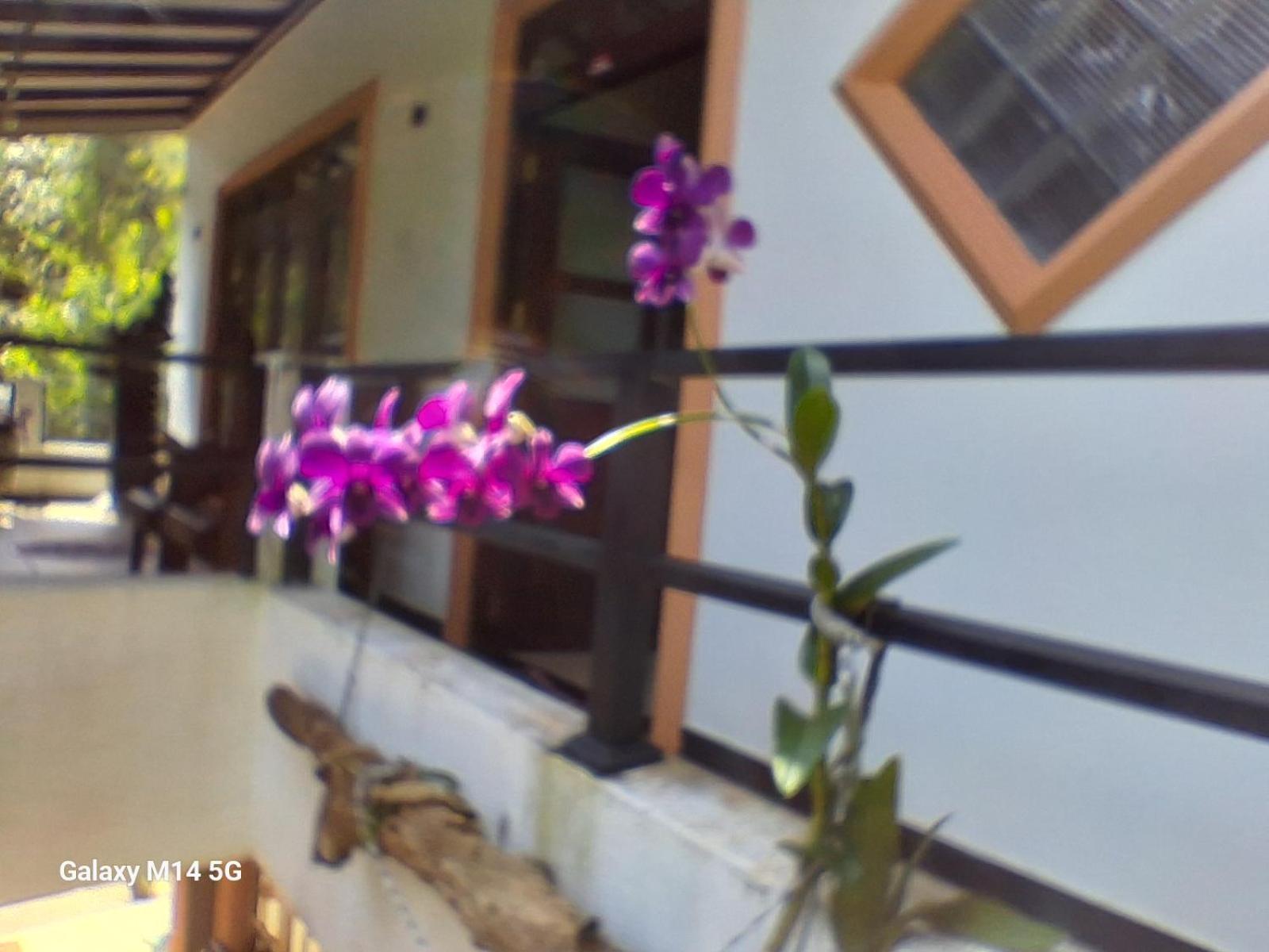 Rock Side Inn Unawatuna Exteriér fotografie
